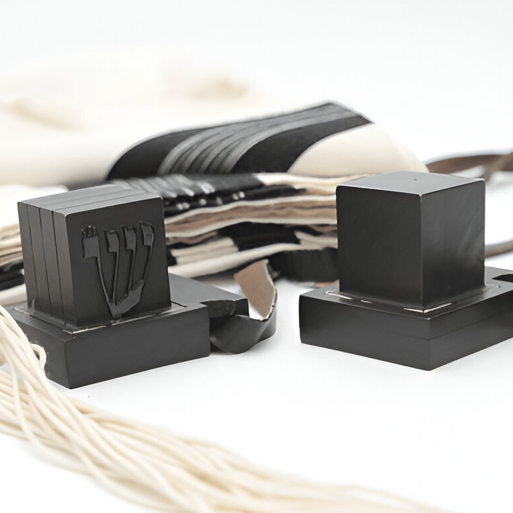 Bar Mitzvah Elias Barkat 3